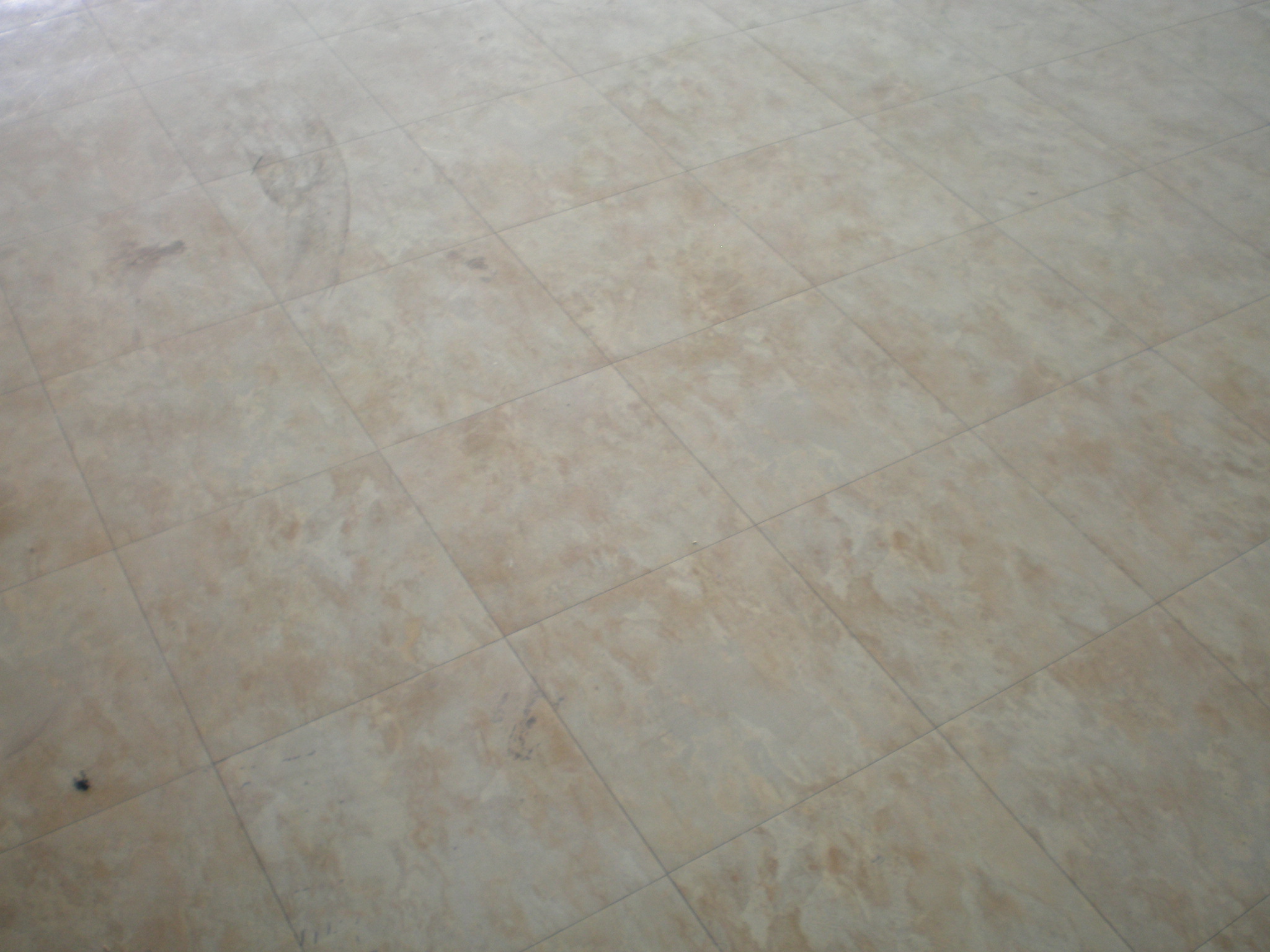 洗地打蠟 - 20141103163326-3911628.jpg(圖)