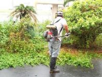 最好的庭園管理維護除草整地工作_圖片(1)