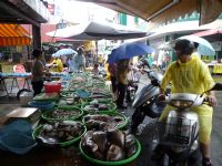 埔里第三傳統市場日攤出租_圖片(4)