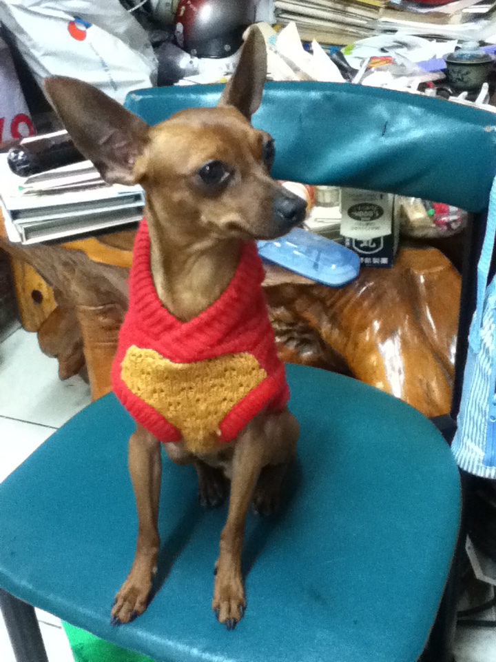 迷你杜賓徵女朋友 - 20120107212918_944939156.jpg(圖)