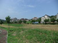 比佛利別墅_圖片(4)