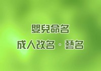 嬰兒命名．成人改名 使用塔羅牌占卜測字法 Duo天使塔羅占卜_圖片(1)
