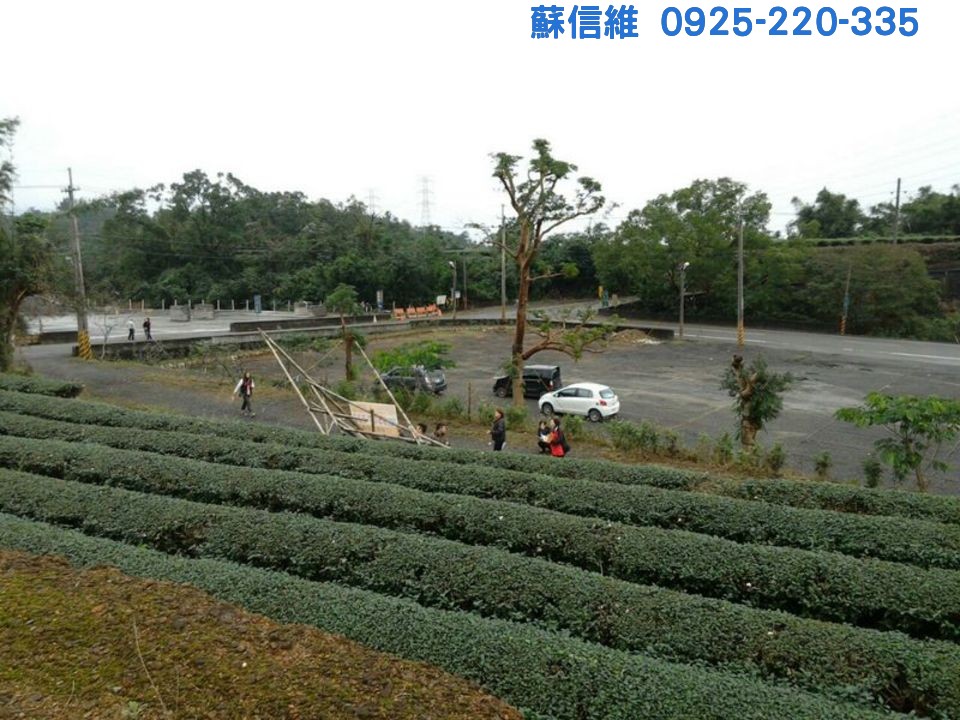 (記錄)現收成美茶園(冬山鄉農地) - 20120503200150-455587116.jpg(圖)