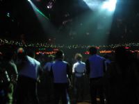 金錢豹花蓮徵人_圖片(1)