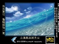 小海豚泳訓中心_圖片(1)