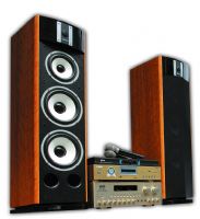 超便宜 唱將奢華卡拉OK組 金嗓伴唱機(CPX系列)+SYN卡拉ok擴大機(TB-100)+SYN歌唱喇叭(SY-808)+無線麥克風(DV-322) 整組特價↘ $46,900 _圖片(1)