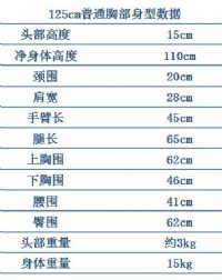 TPE125cm普胸娃娃(夢怜)_圖片(4)