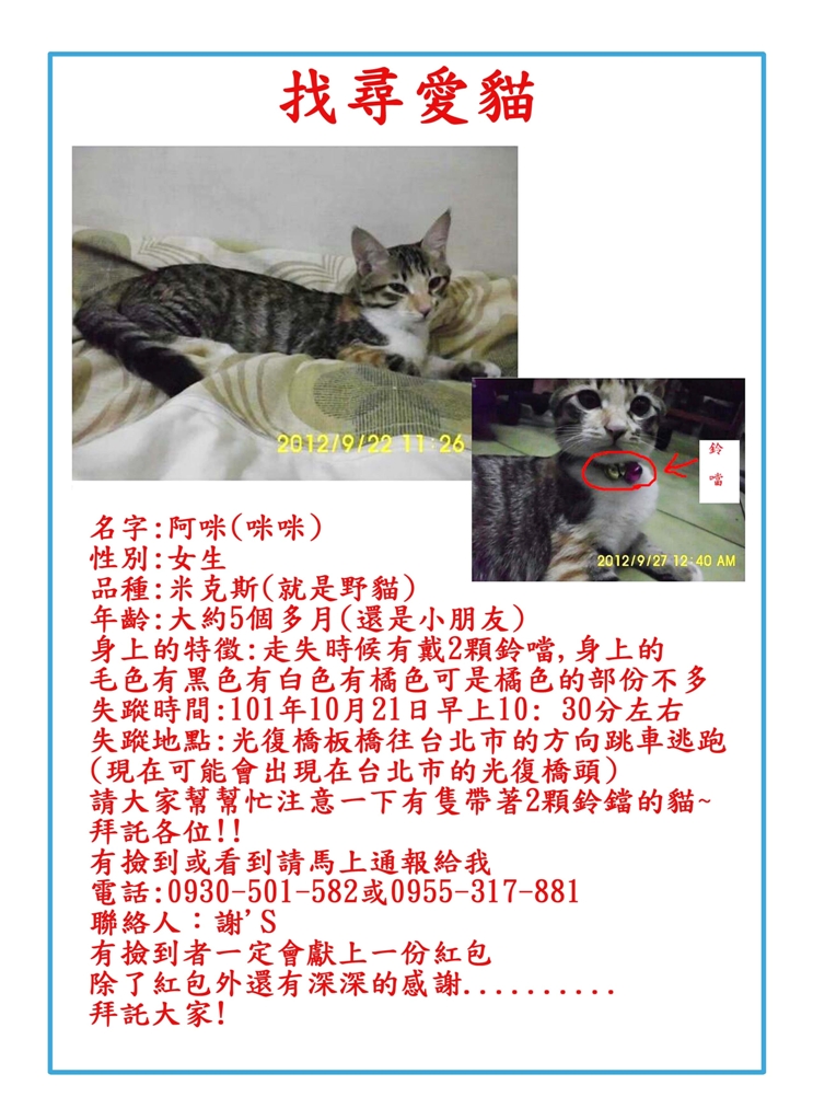 急急急......不見一隻貓在光復橋上不見白底虎斑貓有一些橘色的毛身上有2顆鈴鐺 - 20121118135129_218149187.JPG(圖)