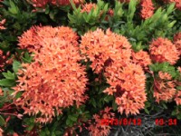 0928590980新北市三芝懷恩寶殿寶塔中元法會105年8月13日14日農曆七月十一日十二日買賣懷恩寶殿骨灰位牌位骨甕位墓地撿骨服務禮儀服務_圖片(1)