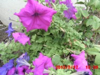 0912802711一0928590980台中七星山地藏殿寶塔105年重陽節歡迎家屬到園區祭拜收購批發價地藏殿骨灰位牌位骨甕位地藏殿寶塔公司或園區過戶塔位權狀買賣一日完成全省寶塔位買賣北部中部南部服務_圖片(1)