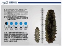 健康食品徵求地區代理商/經銷商/業務代表_圖片(1)
