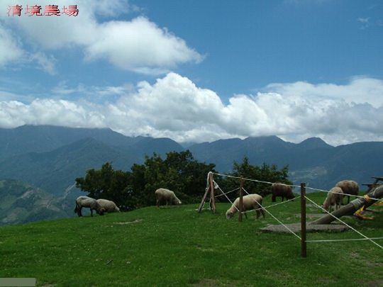 《時尚玩家》包車旅遊~服務好！快樂出門~沒煩惱！時尚玩家帶您任意遨遊。 - 20121224204528_353615390.jpg(圖)