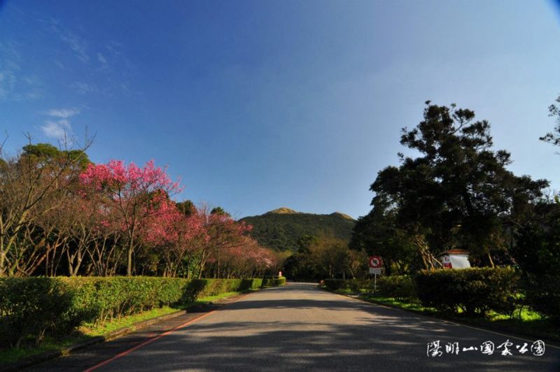 《時尚玩家》包車旅遊~服務好！快樂出門~沒煩惱！時尚玩家帶您任意遨遊。 - 20121224204528_353714609.jpg(圖)