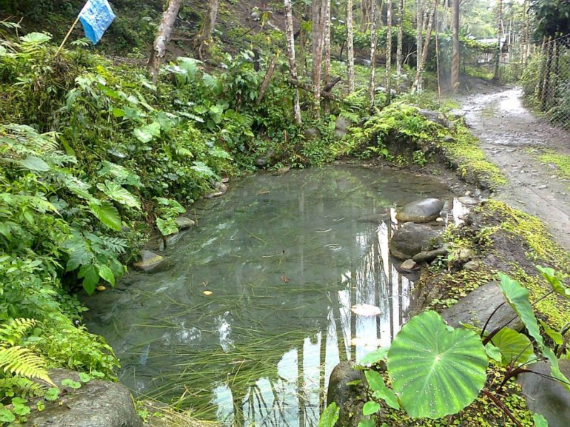 玉里鎮 德武段 20甲土地 - 20130122222215_864982689.jpg(圖)
