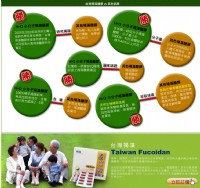 【HiQ褐抑定】採用海洋中優質、天然、珍貴之巨大褐藻，最適人體健康與強身之海洋至寶_圖片(1)