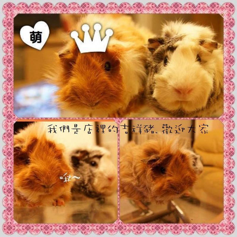 ☆板橋 尚流電器行☆ 電器維修、買賣、30年以上老師傅、 誠信專業用心 - 20130413165412-843578215.JPG(圖)