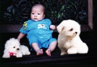 瑪爾濟斯寵物推廣中心 _圖片(3)