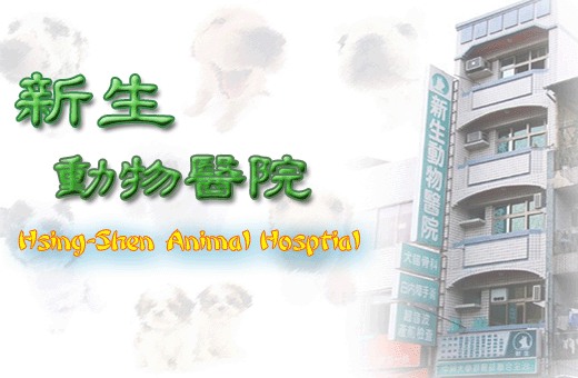 豐原市新生動物醫院  - 20061208093813_542425609.jpg(圖)
