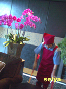 巧巧清潔公司宜蘭分公司  - 20061209163301_653591578.jpg(圖)