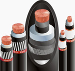 大山電線電纜股份有限公司 - 20070130134643_136514250.jpg(圖)