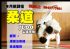 台北市-【ITF】Judo柔道 成人與青少年課程_圖