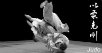 【ITF】Judo柔道 青少年/成人初階課程_圖片(1)