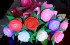 台北市-LED仿真玫瑰花，單支LED玫瑰花，情人節禮物，LED玫瑰花，情侶玫瑰，仿真玫瑰_圖