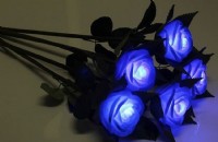 LED仿真玫瑰花，單支LED玫瑰花，情人節禮物，LED玫瑰花，情侶玫瑰，仿真玫瑰_圖片(4)