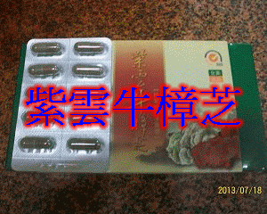 實體店面專售牛樟芝.批發.零售 - 20130722122350_467098837.gif(圖)