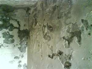 立人修繕工程-房屋增建修改-防水抓漏-壁癌處理-現場免費估價 - 20131226100345-23880937.jpg(圖)