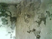 立人修繕工程-房屋增建修改-防水抓漏-壁癌處理-現場免費估價_圖片(1)