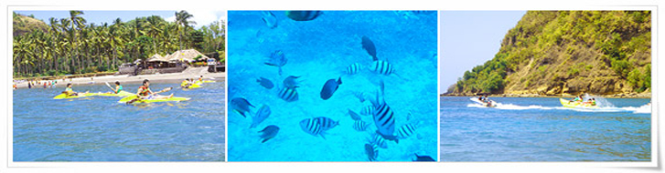 與獅共舞 賽福瑞、南灣海龜島、樂活SPA 印尼巴里島5日 - 20131122171313_111853050.jpg(圖)