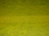 epoxy環氧樹脂-FRP玻璃纖維層工程_圖片(3)