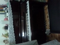 要移民，需要的朋友，只要您敢出價，我就賣喔 Line::changmeifeng68，你出價，我就賣，_圖片(4)