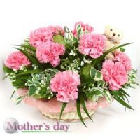 云娸藝苑~~網路花店 _圖片(1)