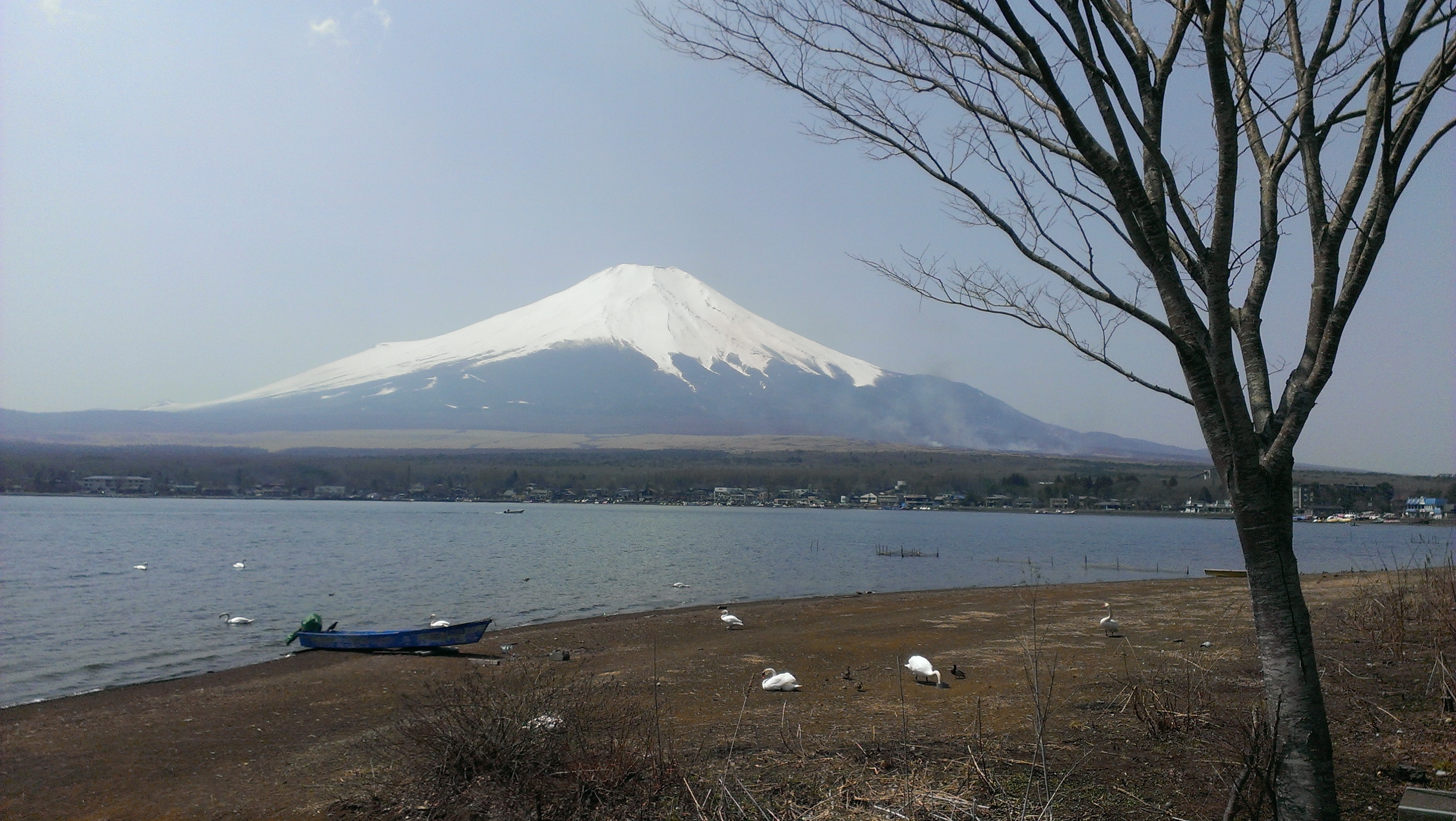 富士山五湖招店鋪員 - 20140416144723-630994287.jpg(圖)
