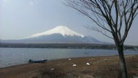 富士山五湖招店鋪員_圖片(1)