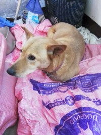 溫柔米克斯_圖片(1)