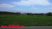 ●平鎮區 ~ 台北商業大學農地●近66快速道路_圖片(2)