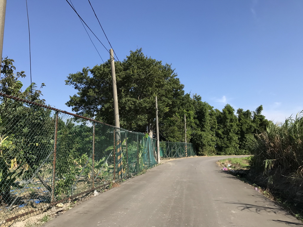 ●龍潭區 ~ 福龍路旁休閒農地●近66快速道路 - 20170808152718-177436498.JPG(圖)