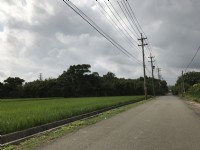 出租●楊梅區 ~ 溜地●近(台31)高鐵南路9段_圖片(3)