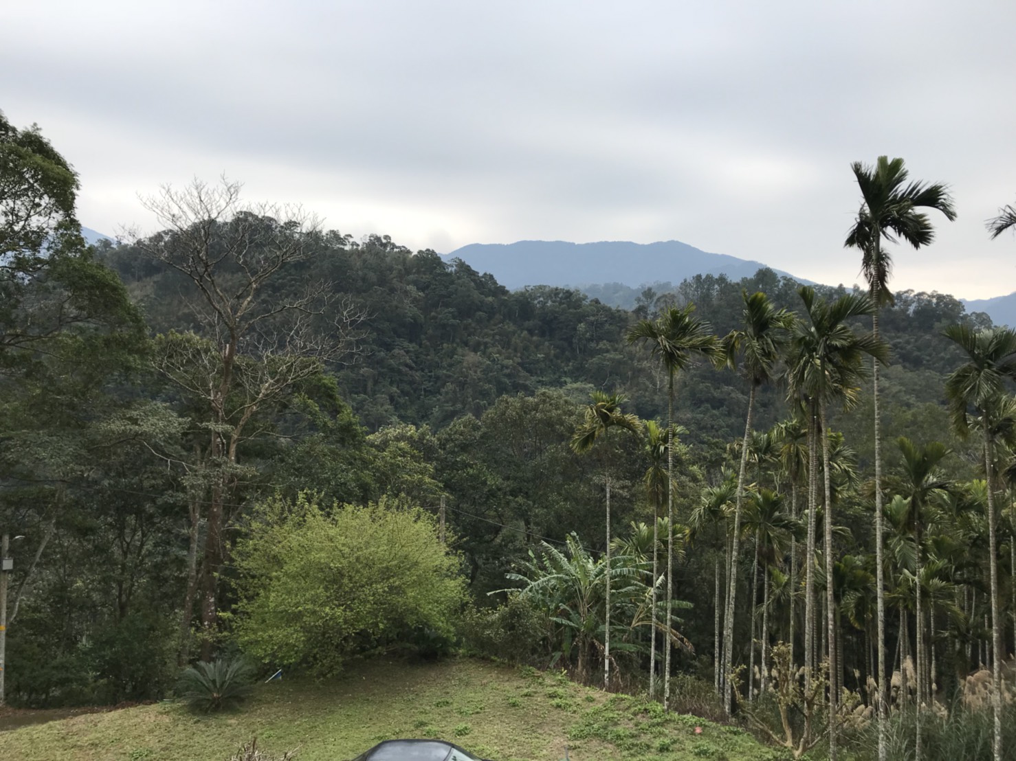 ●關西 ~ 錦山休閒地●贈送2棟休閒屋  - 20180207152620-988730220.jpg(圖)