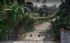 新竹縣市-●新埔 ~ 油桐花山莊●景觀農地_圖