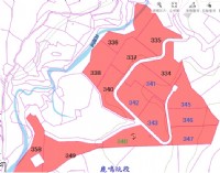 ●新埔 ~ 鹿鳴休閒農地14000坪●照東國小旁_圖片(3)