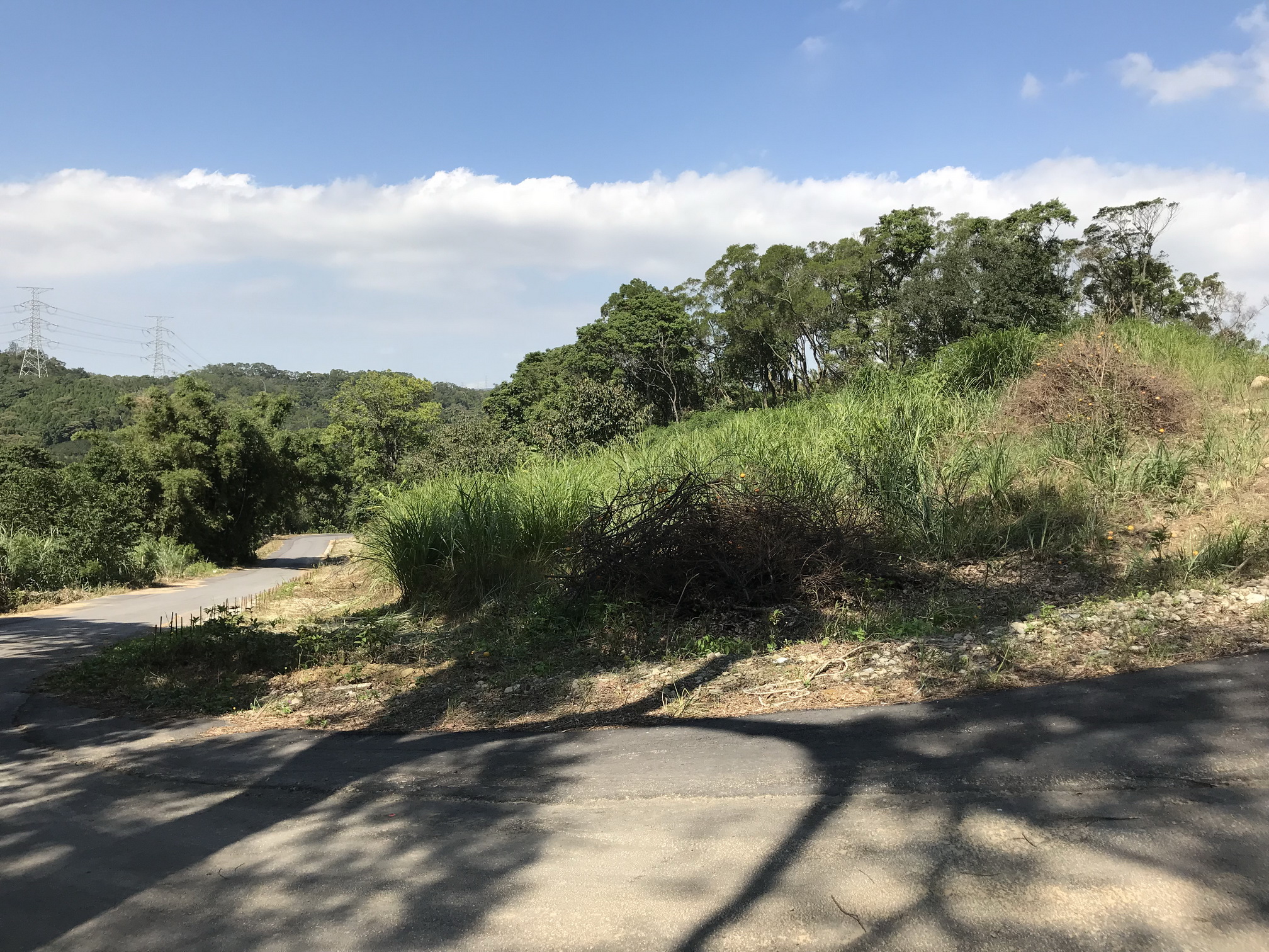 ●新埔 ~ 鹿鳴休閒農地14000坪●照東國小旁 - 20180814133218-225212642.JPG(圖)