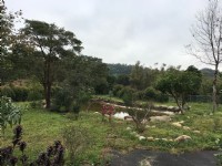 ●新埔鎮 ~ 樂活開心農場●送屋送魚池_圖片(2)