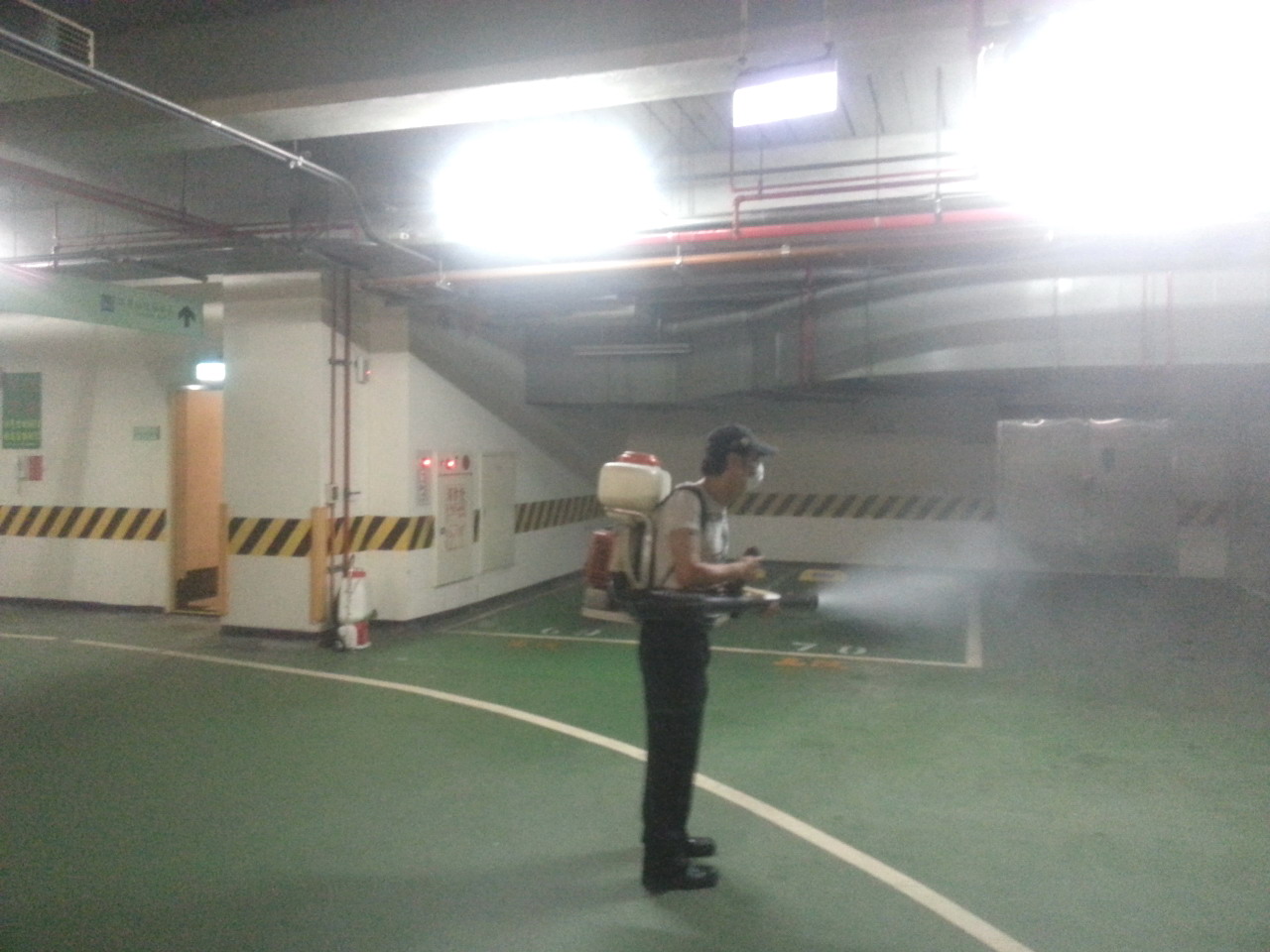 蛀蟲 白蟻 老鼠 蟑螂 螞蟻 環境 消毒 每坪20元起 免費 現場評估 值得您的信賴~ - 20140714133057-315993171.jpg(圖)