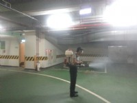 蛀蟲 白蟻 老鼠 蟑螂 螞蟻 環境 消毒 每坪20元起 免費 現場評估 值得您的信賴~_圖片(1)