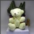 台北市-【愛禮布禮】 婚禮小物: 12公分領巾熊(米色)21元_圖