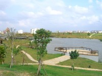 青埔建地《超值價》_圖片(1)